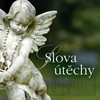 Slova útěchy - galerie 1